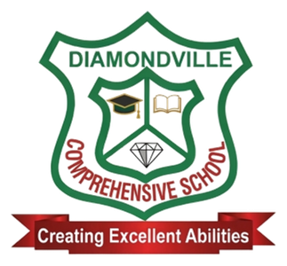 Diamondville Comprehensive Schools